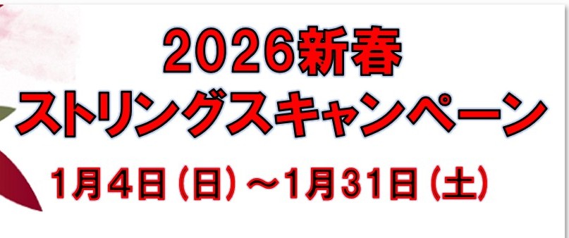 ストリングキャンペーン2026
